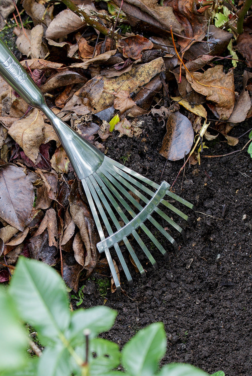 Long Handled Narrow Scrub Rake