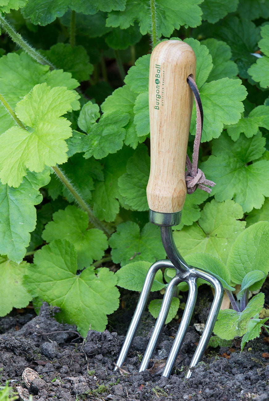 Round Tine Fork - RHS Stainless