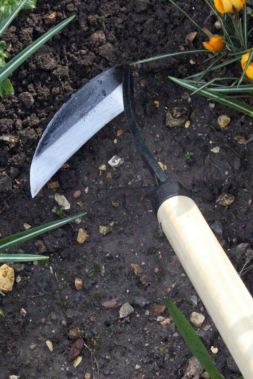 Long Handled - Razor Hoe
