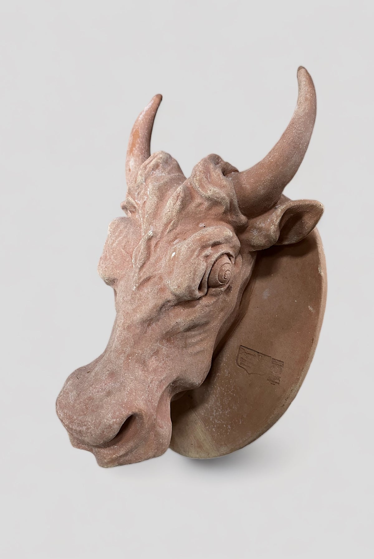 Cow Head - Cigale & Fourmi