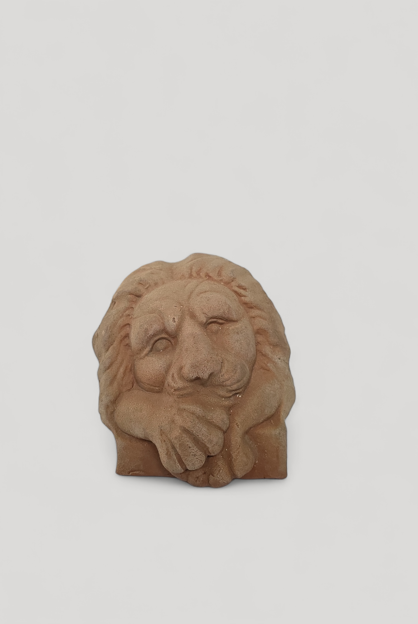 Grand Lion's Paw - Cigale & Fourmi
