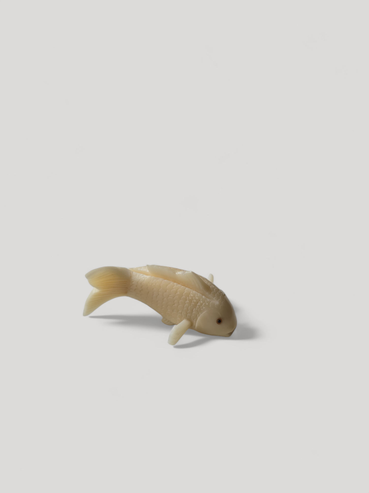 Place Card Holder  ECOivory- Koifish - Cigale &  Fourmi