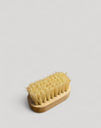 Children's Nail Brush - Cigale & Fourmi