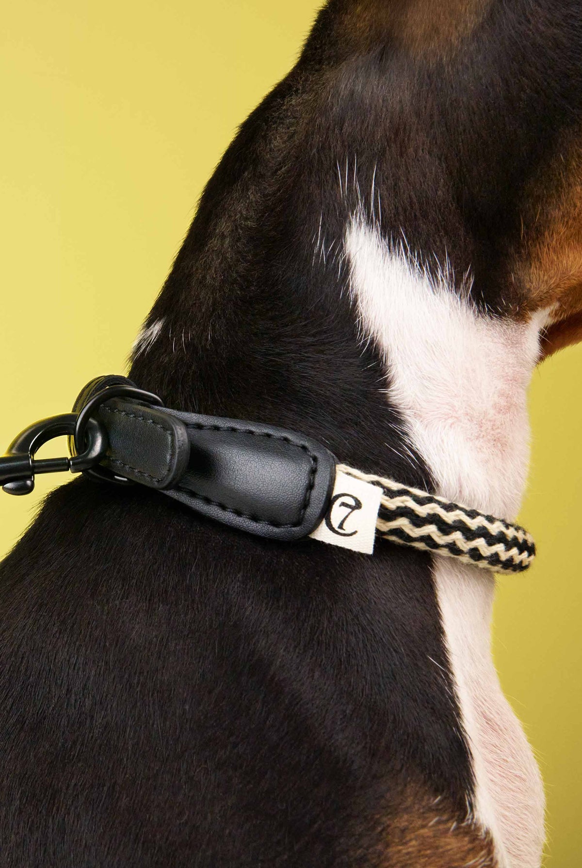 Dog Collar Mauerpark -Zigzag Black — detail 3