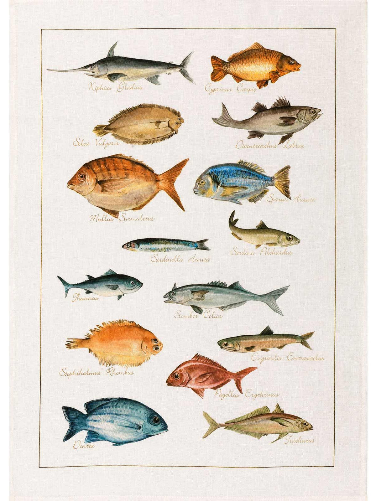 Kitchen Towel - La Mer Pesci - Cigale & Fourmi