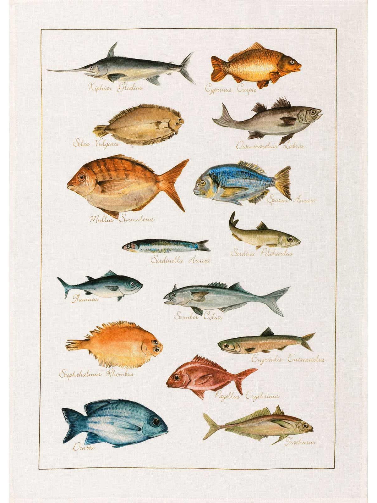 Kitchen Towel - La Mer Pesci - Cigale & Fourmi