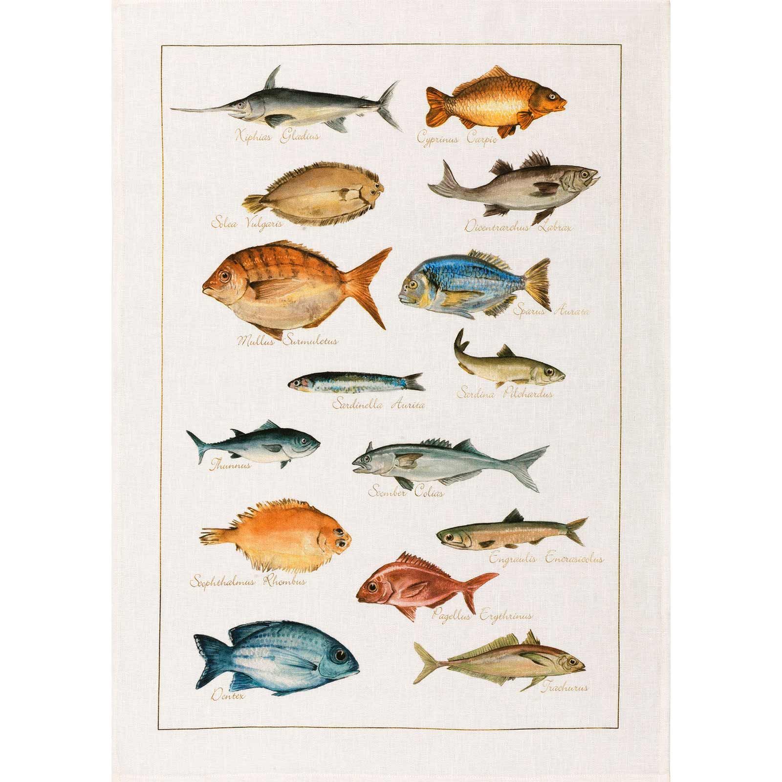 Kitchen Towel - La Mer Pesci - Cigale &  Fourmi