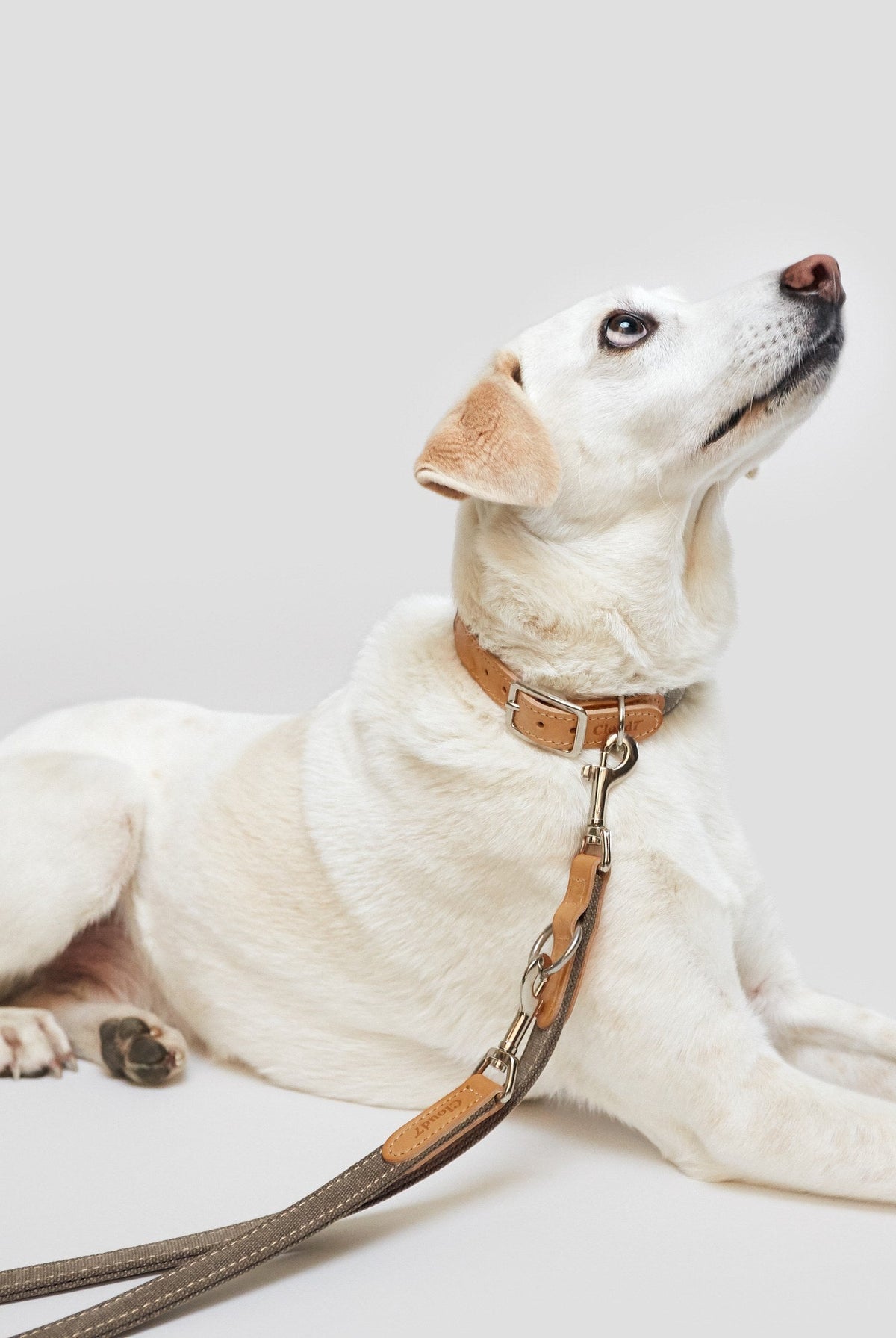 Dog Leash - Tivoli Greige — original