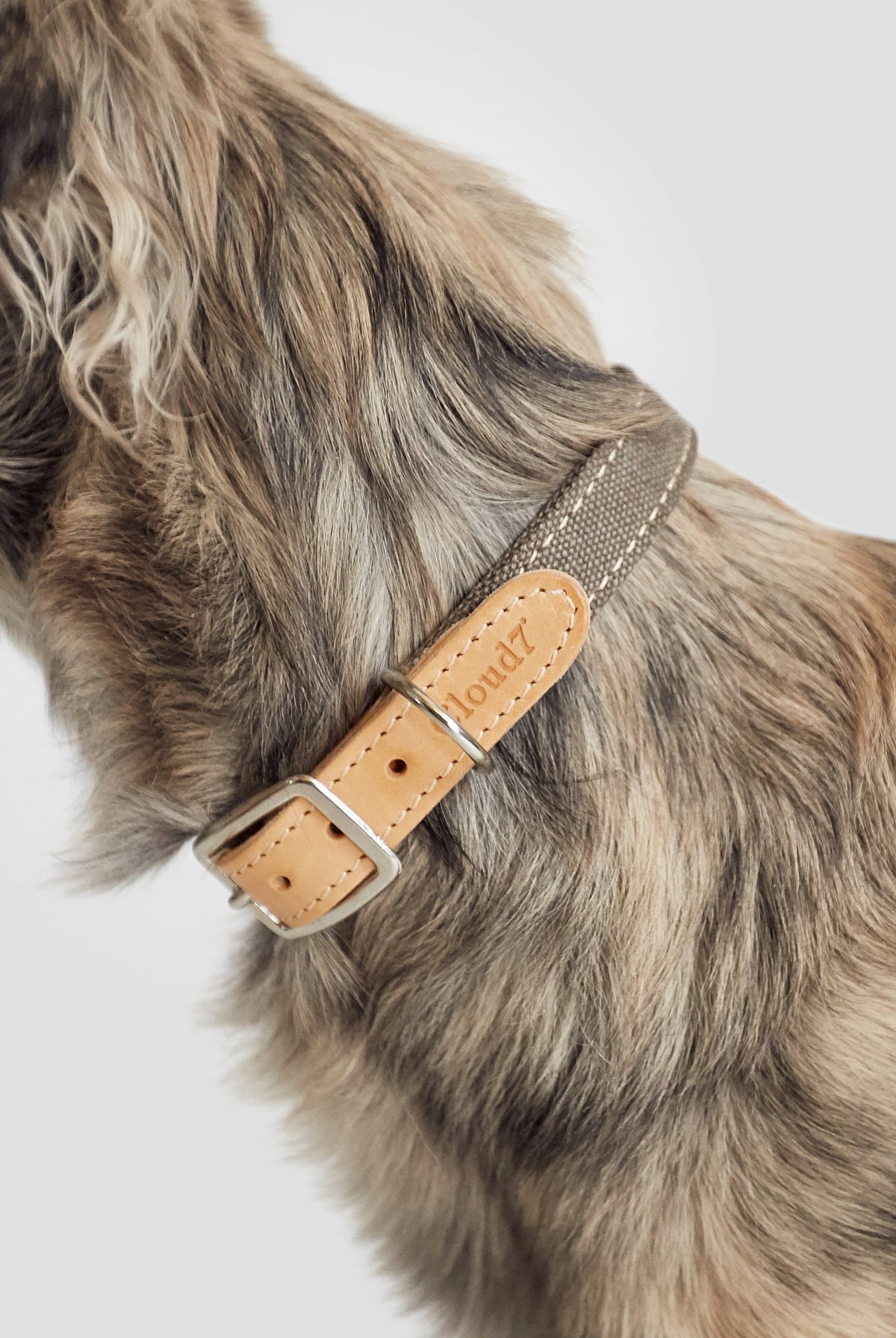 Dog Collar Tivoli Greige — detail 5