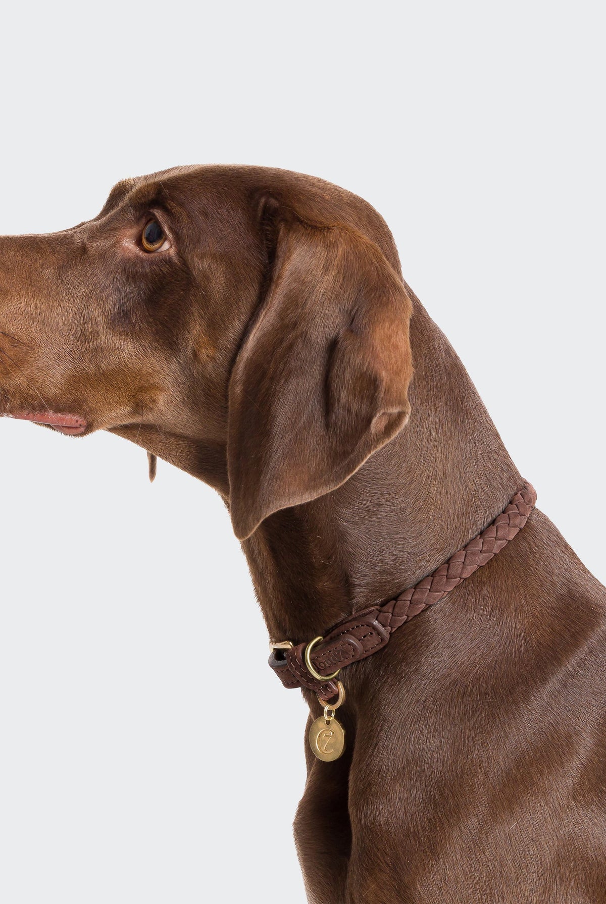 Dog Collar Ravello - Hazel — detail 3