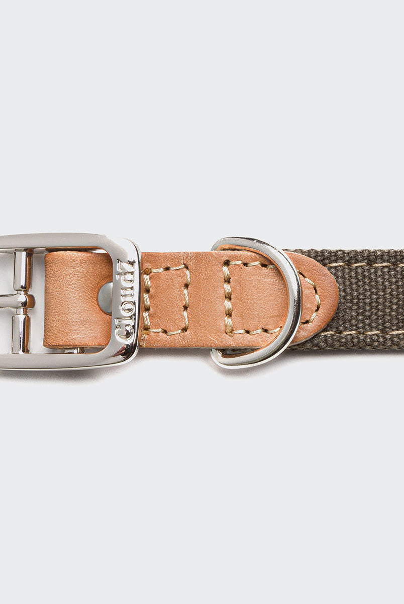 Dog Collar Tivoli Greige — detail 4