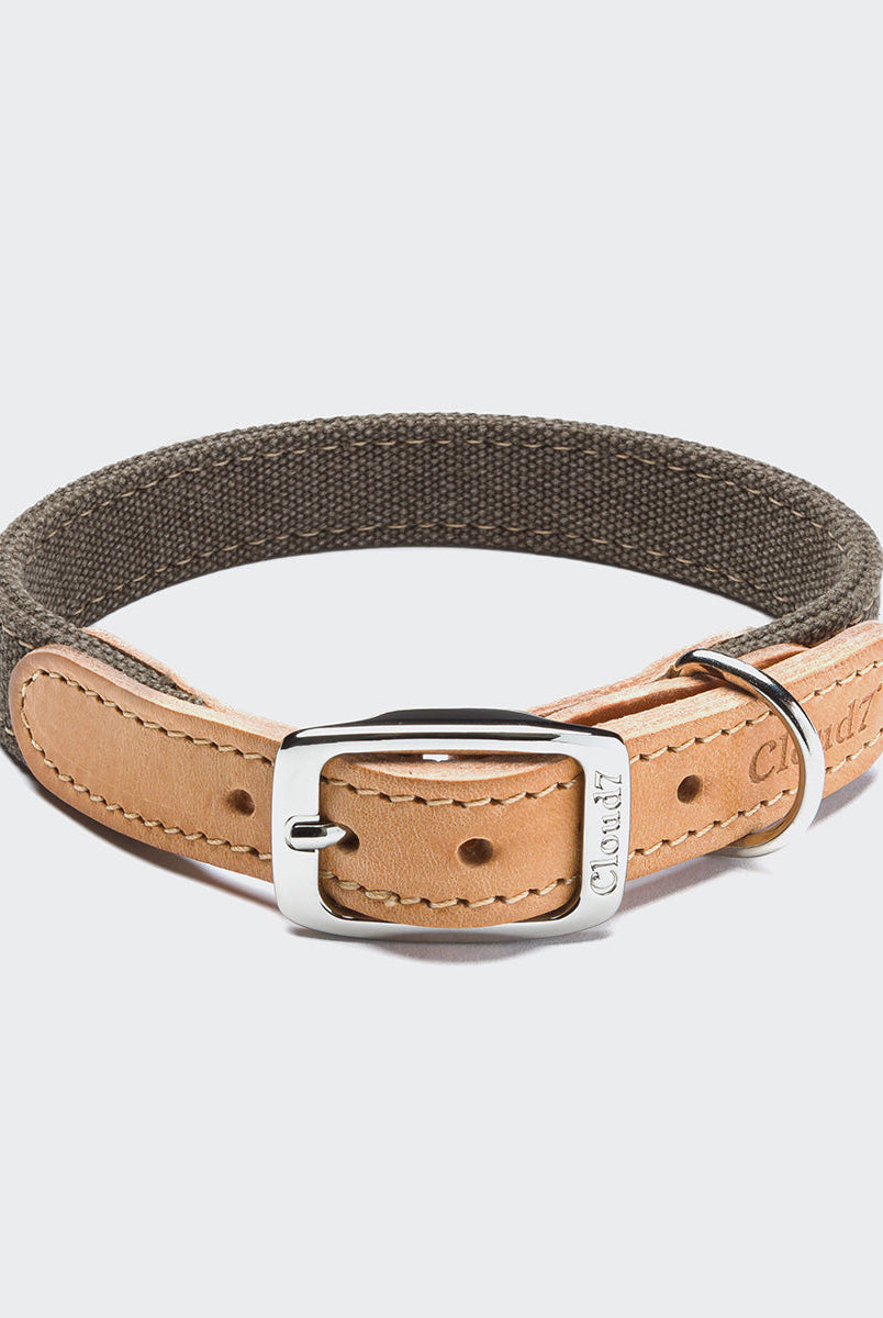 Dog Collar Tivoli Greige — detail 2