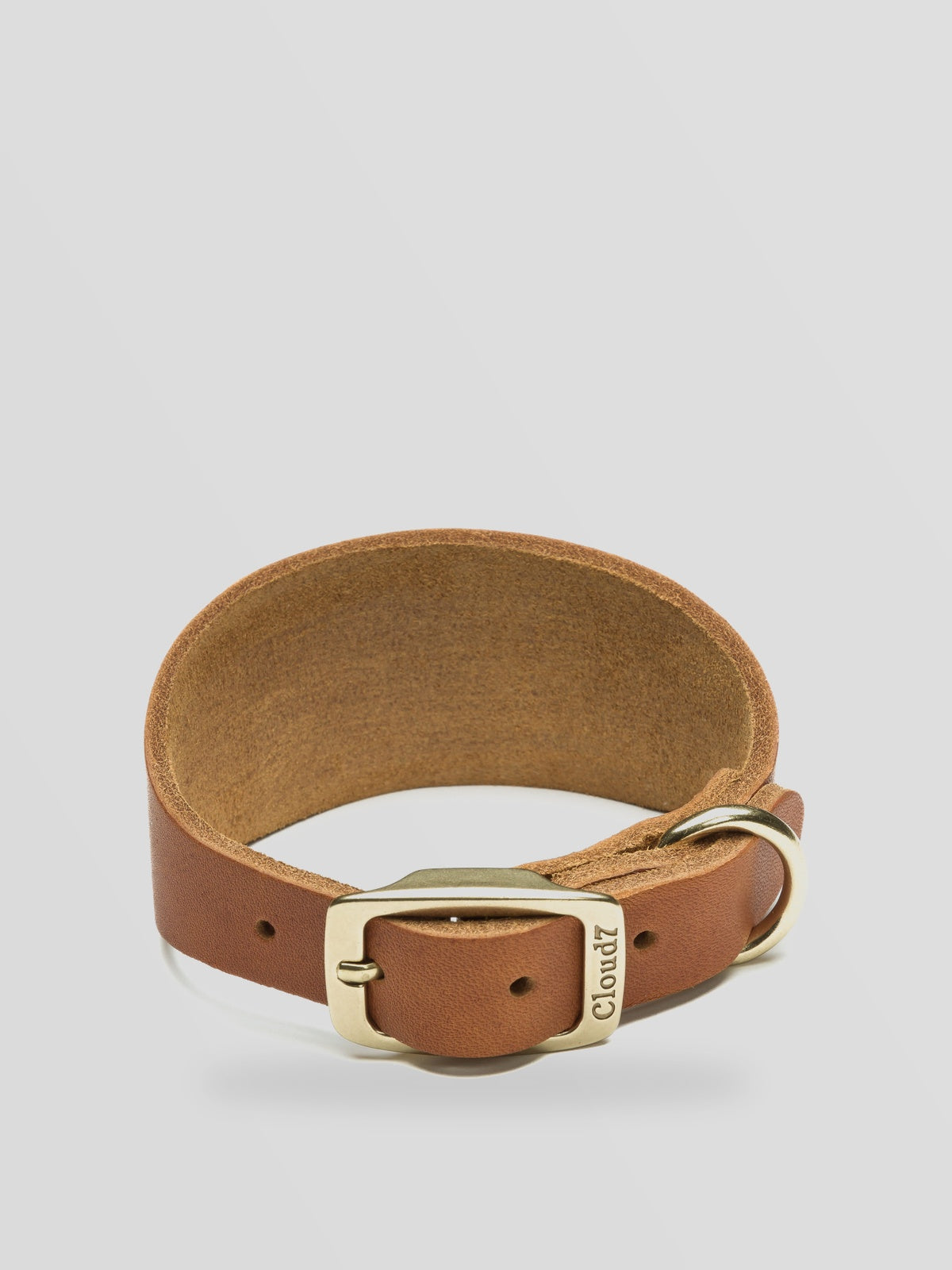 Dog Collar-Greyhound Regent Park - Camel Gold — Cloud7