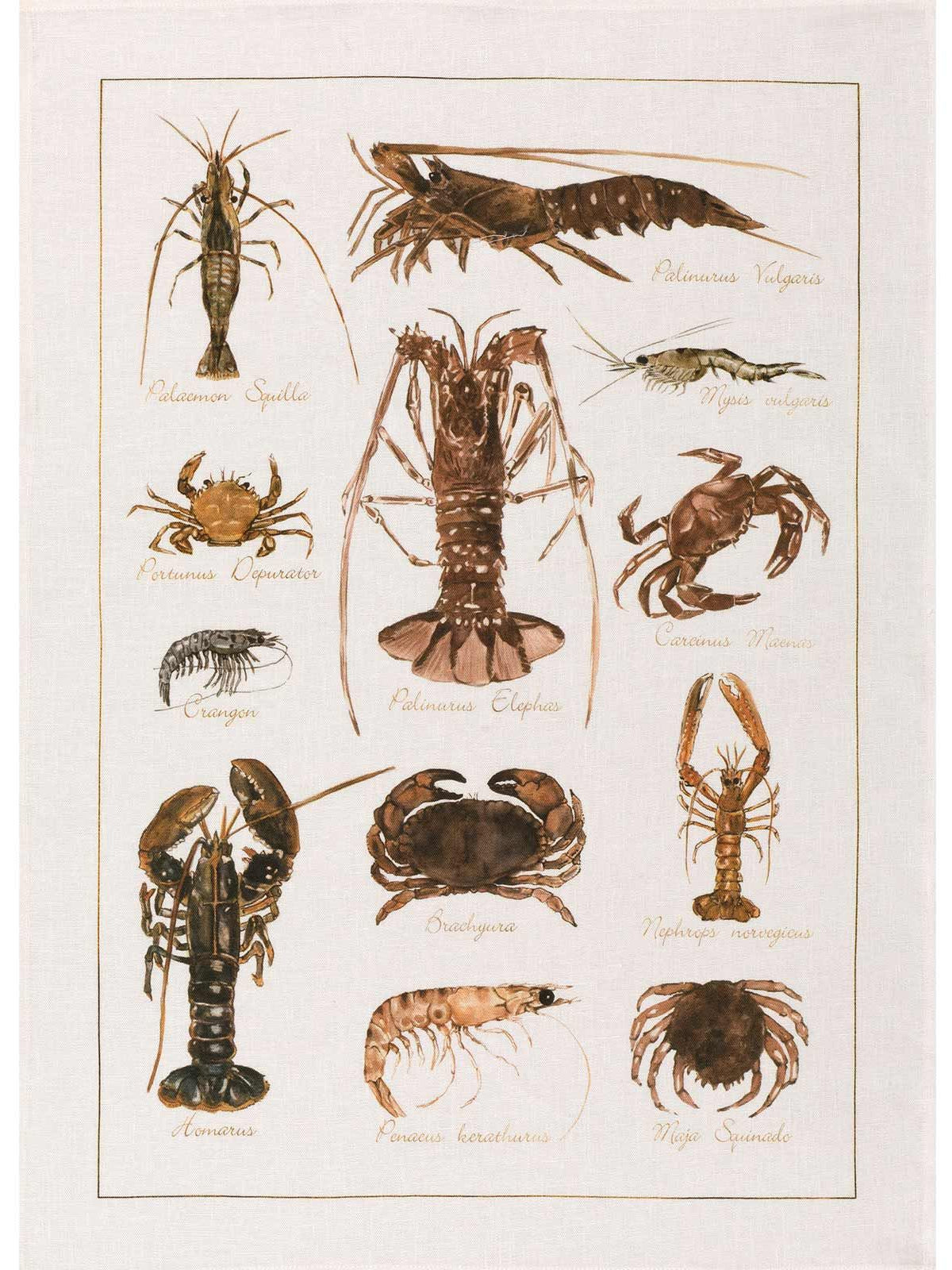 Kitchen Towel - La Mer Crostacei / Crabs - Cigale & Fourmi