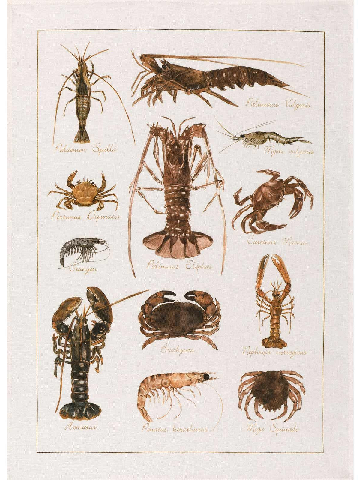 Kitchen Towel - La Mer Crostacei / Crabs - Cigale & Fourmi