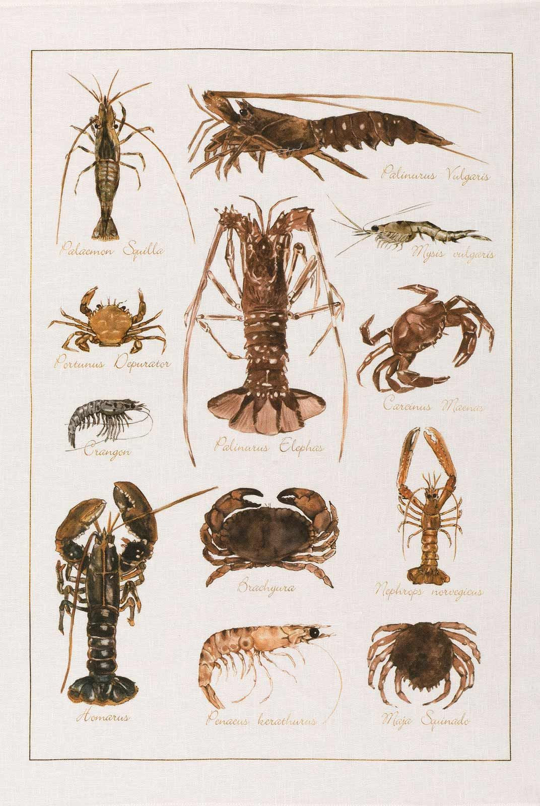 Kitchen Towel - La Mer Crostacei / Crabs - Cigale & Fourmi