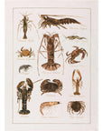 Kitchen Towel - La Mer Crostacei / Crabs - Cigale & Fourmi