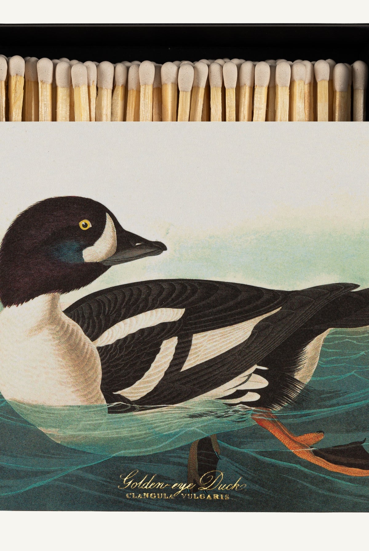 Luxury Matches - The Golden-eye Duck by Audubon — Archivist