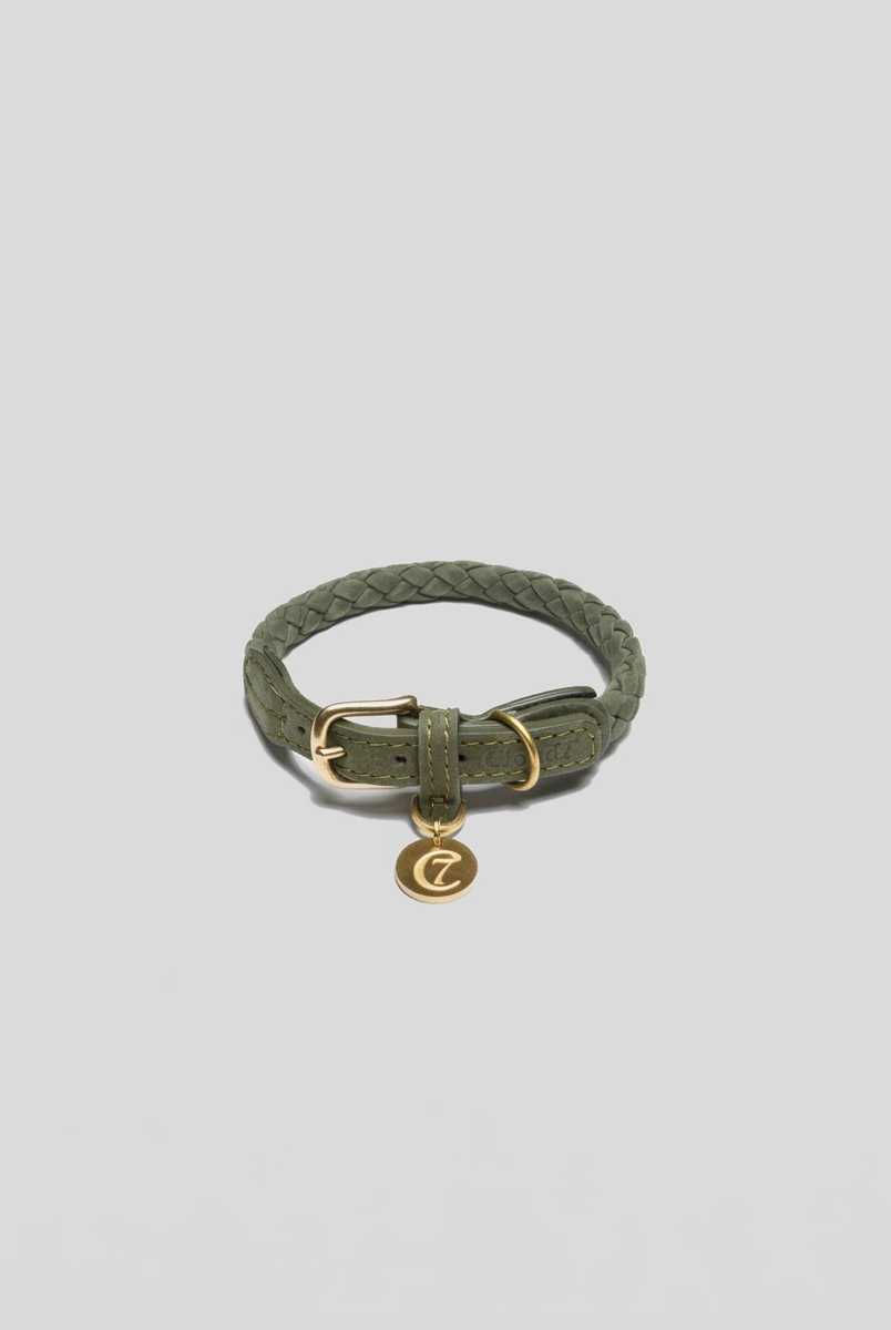 Dog Collar Ravello - Moss — Cigale & Fourmi