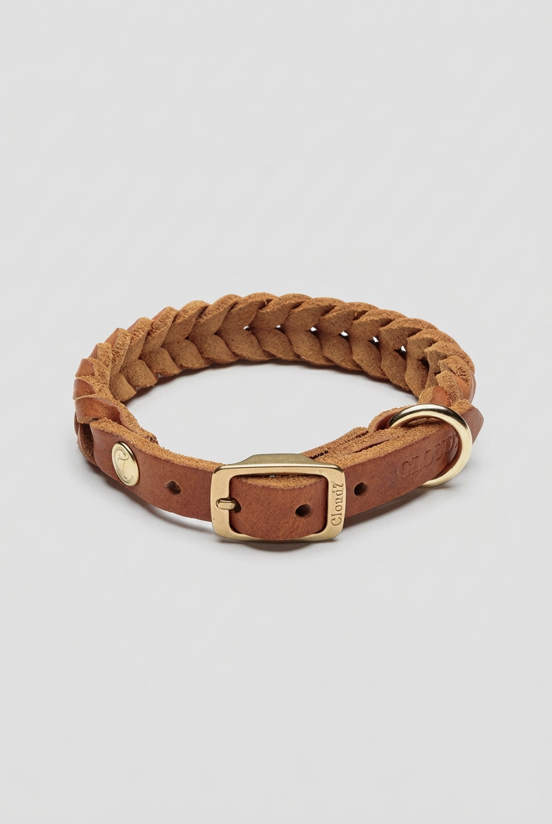 Dog Collar Central Park - Camel Gold — Cigale & Fourmi