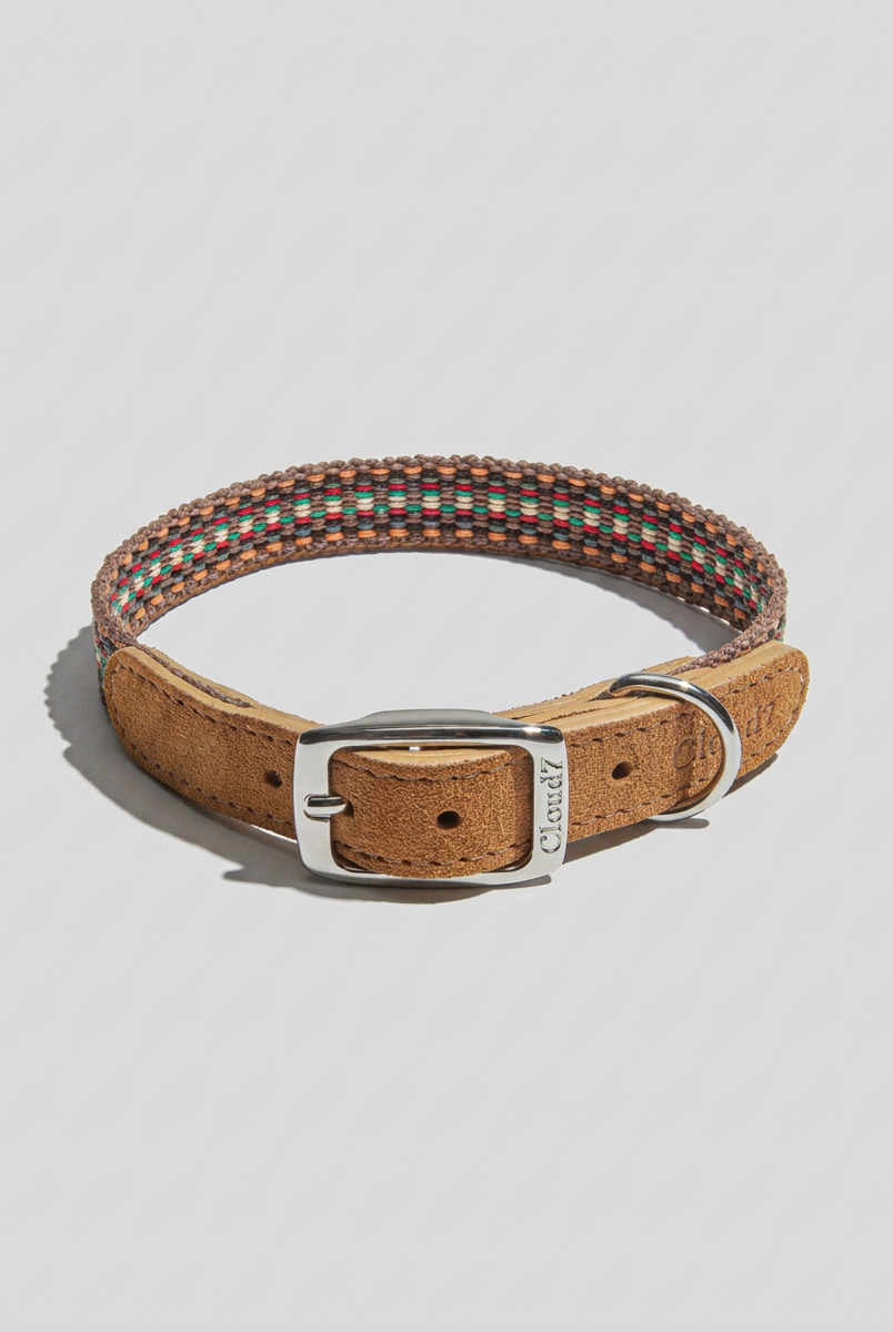 Dog Collar - Prater Sunset — Cigale & Fourmi