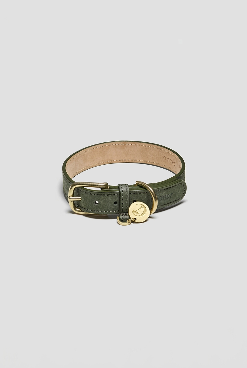 Dog Collar Tiergarten - Moss — Cigale & Fourmi