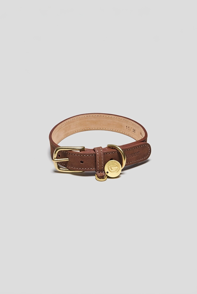 Dog Collar Tiergarten Park - Mocca — Cigale & Fourmi