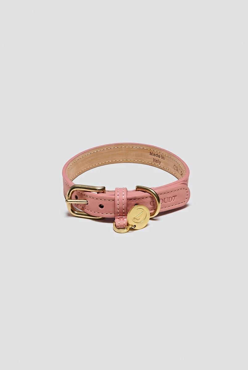 Dog Collar Tiergarten Park - Peach — Cigale & Fourmi