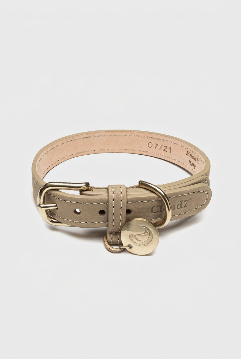 Dog Collar Tiergarten - Sandy — Cigale & Fourmi