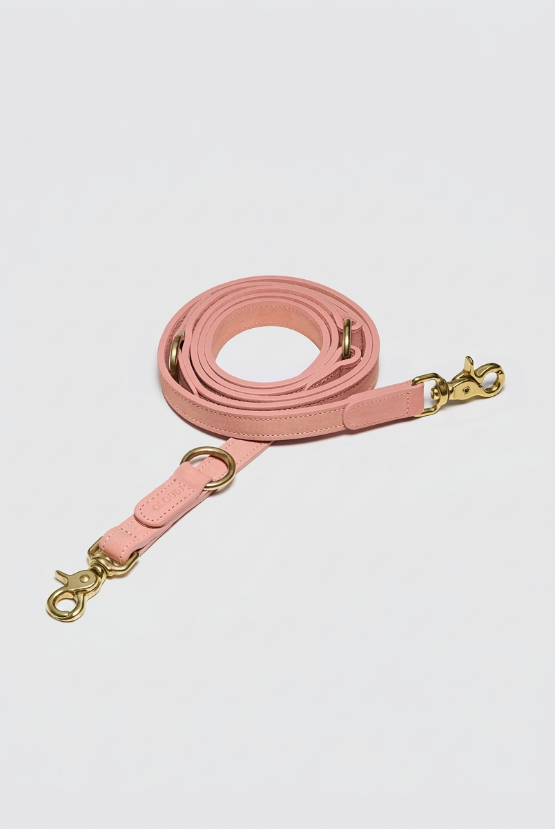 Dog Leash - Tiergarten Park - Peach — Cigale & Fourmi