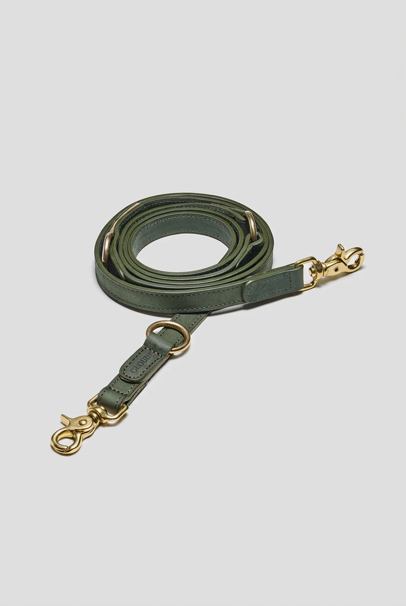 Dog Leash - Tiergarten - Moss — Cigale & Fourmi