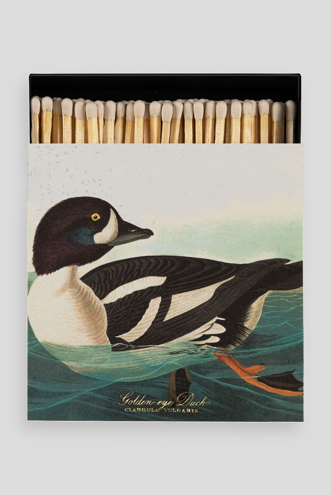 Luxury Matches - The Golden-eye Duck by Audubon — Archivist