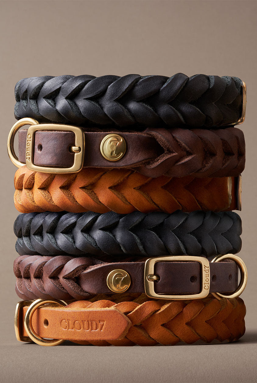 Dog Collar Central Park - Saddle Brown — detail 6