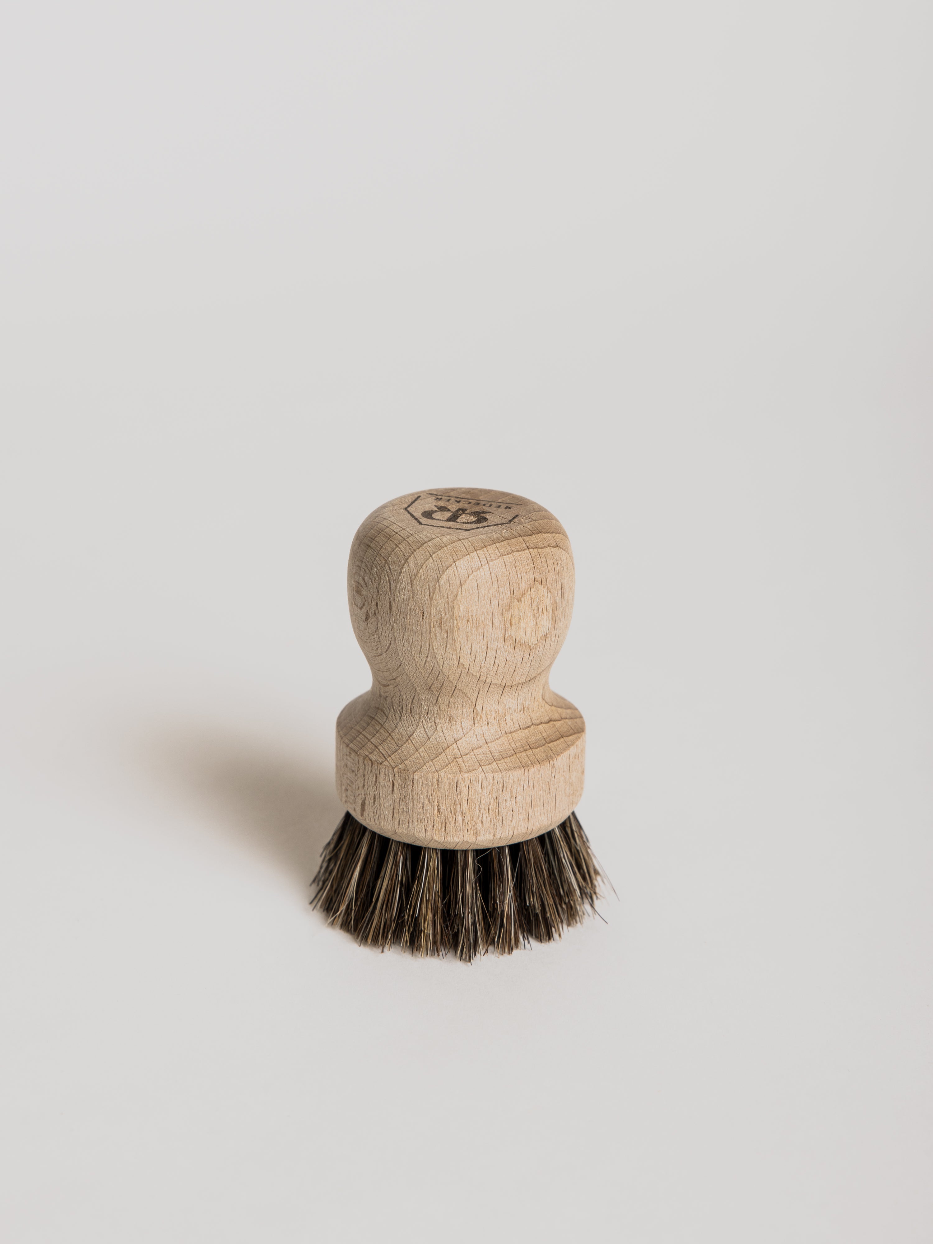 Filter Brush - Cigale & Fourmi