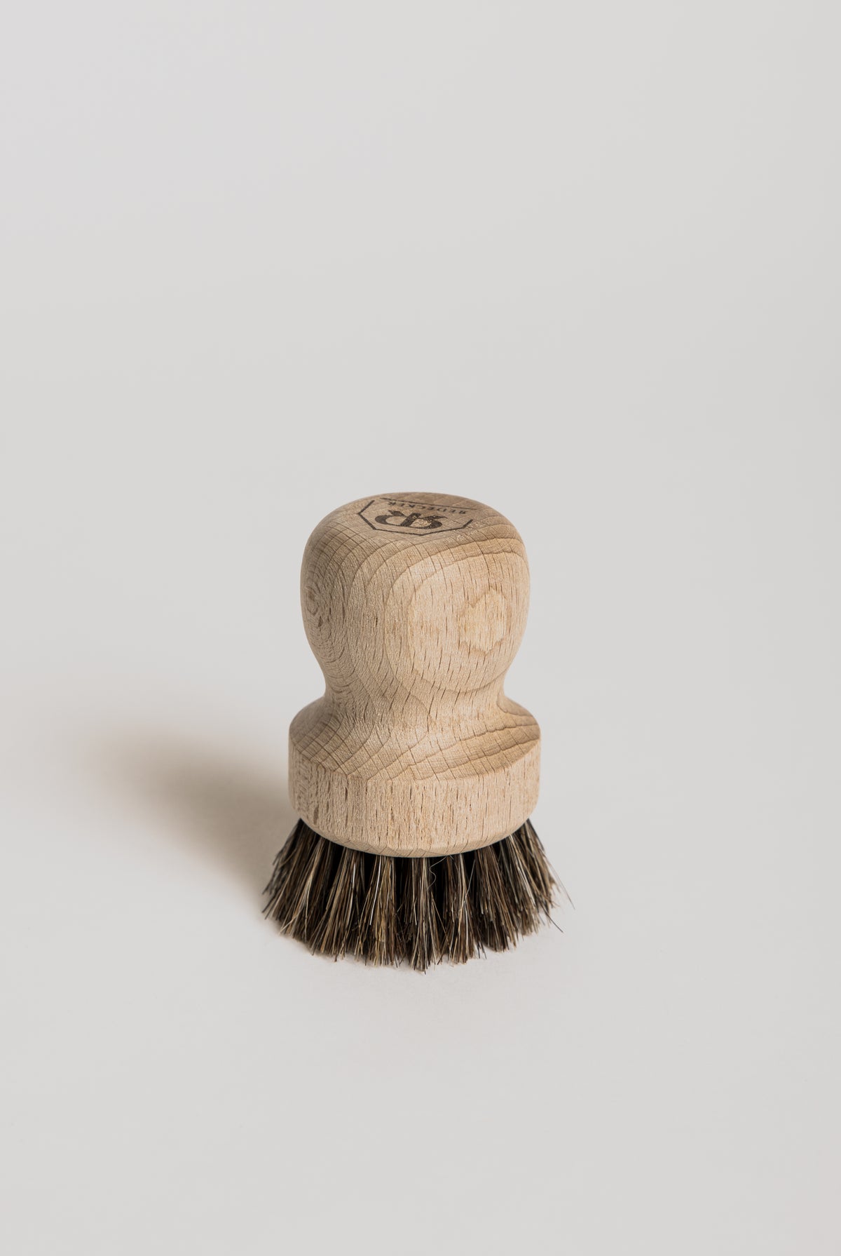 Filter Brush - Cigale & Fourmi