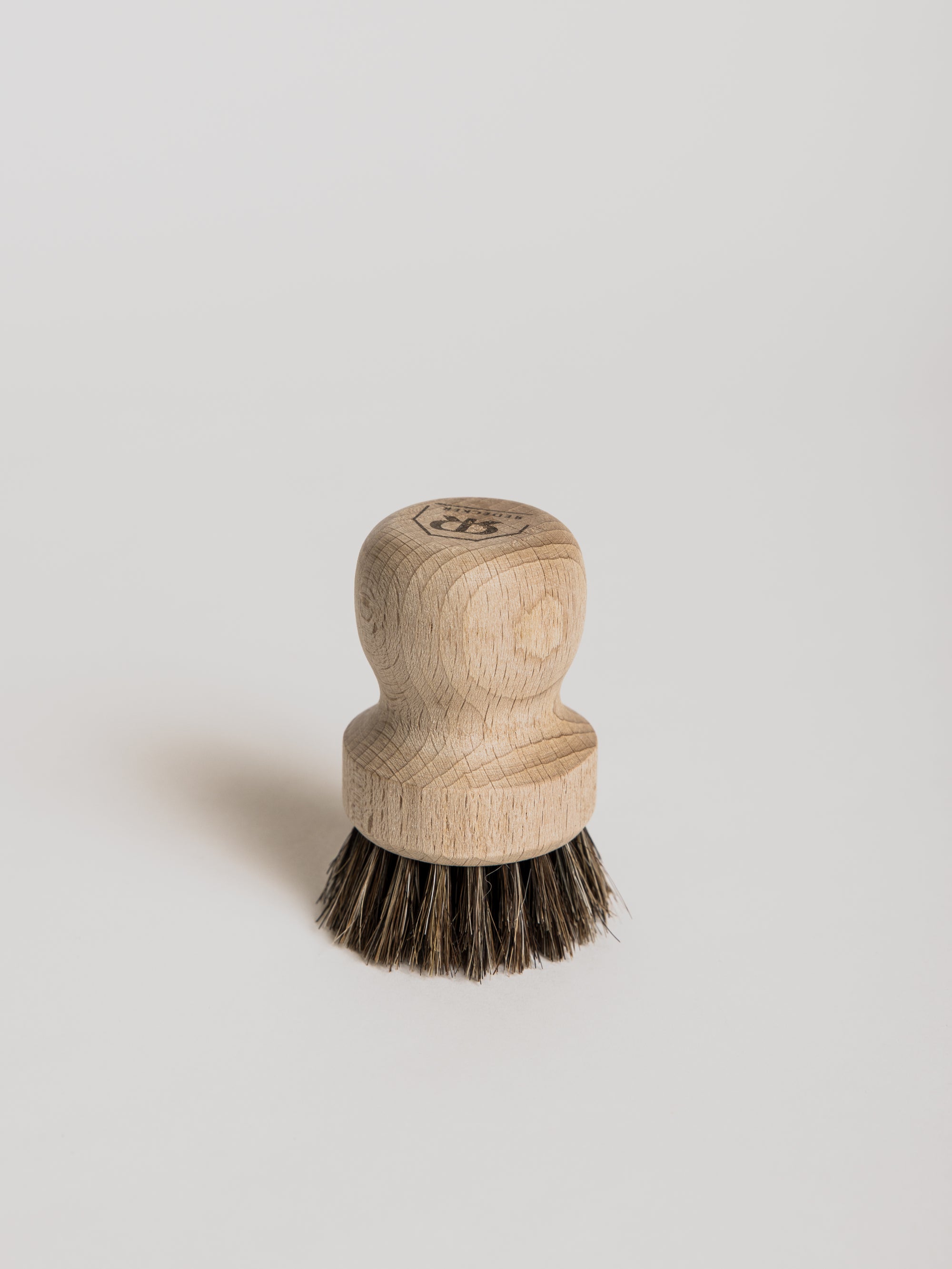 Filter Brush - Cigale &  Fourmi