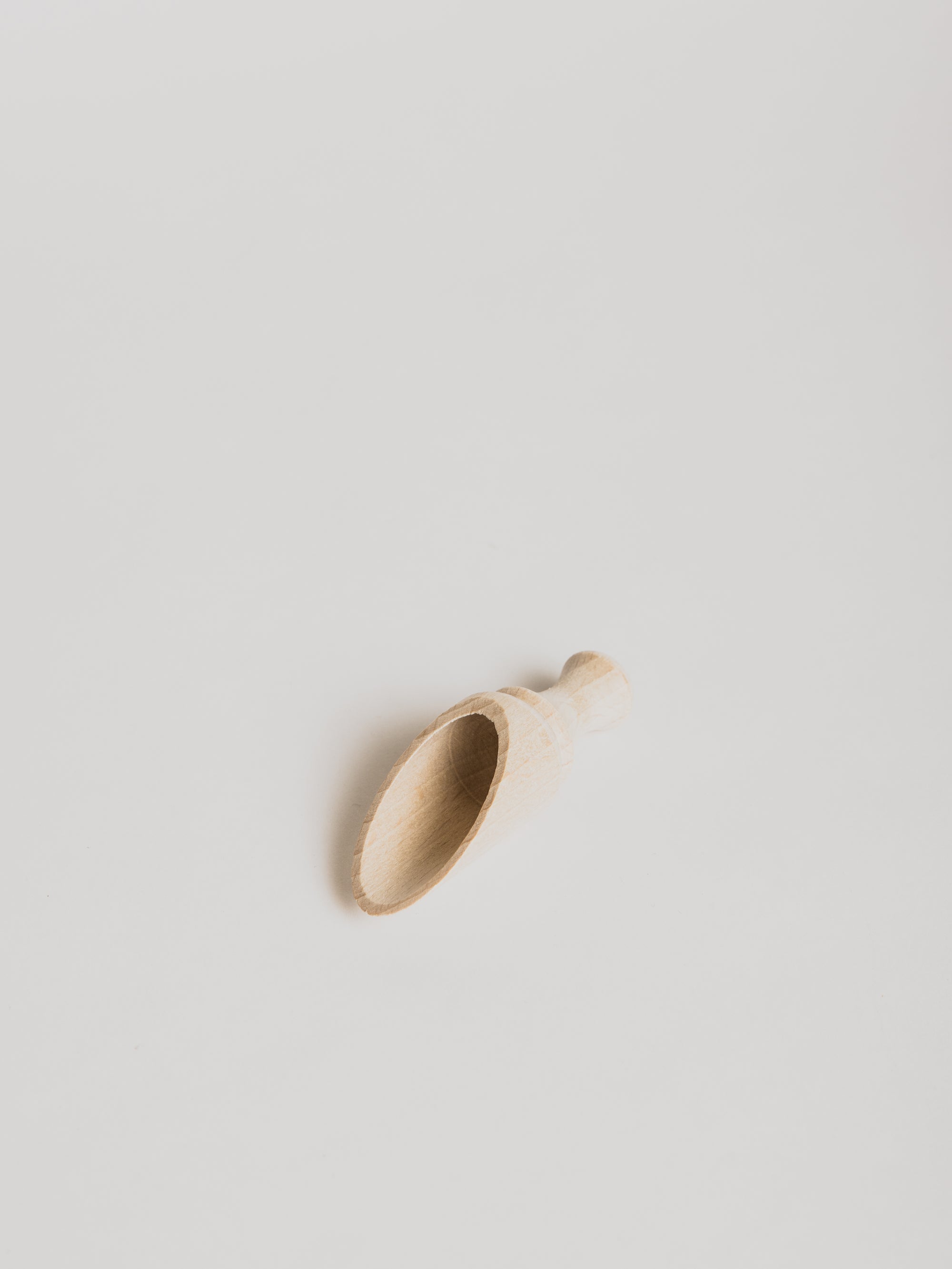 Coffee Shovel - Cigale &  Fourmi