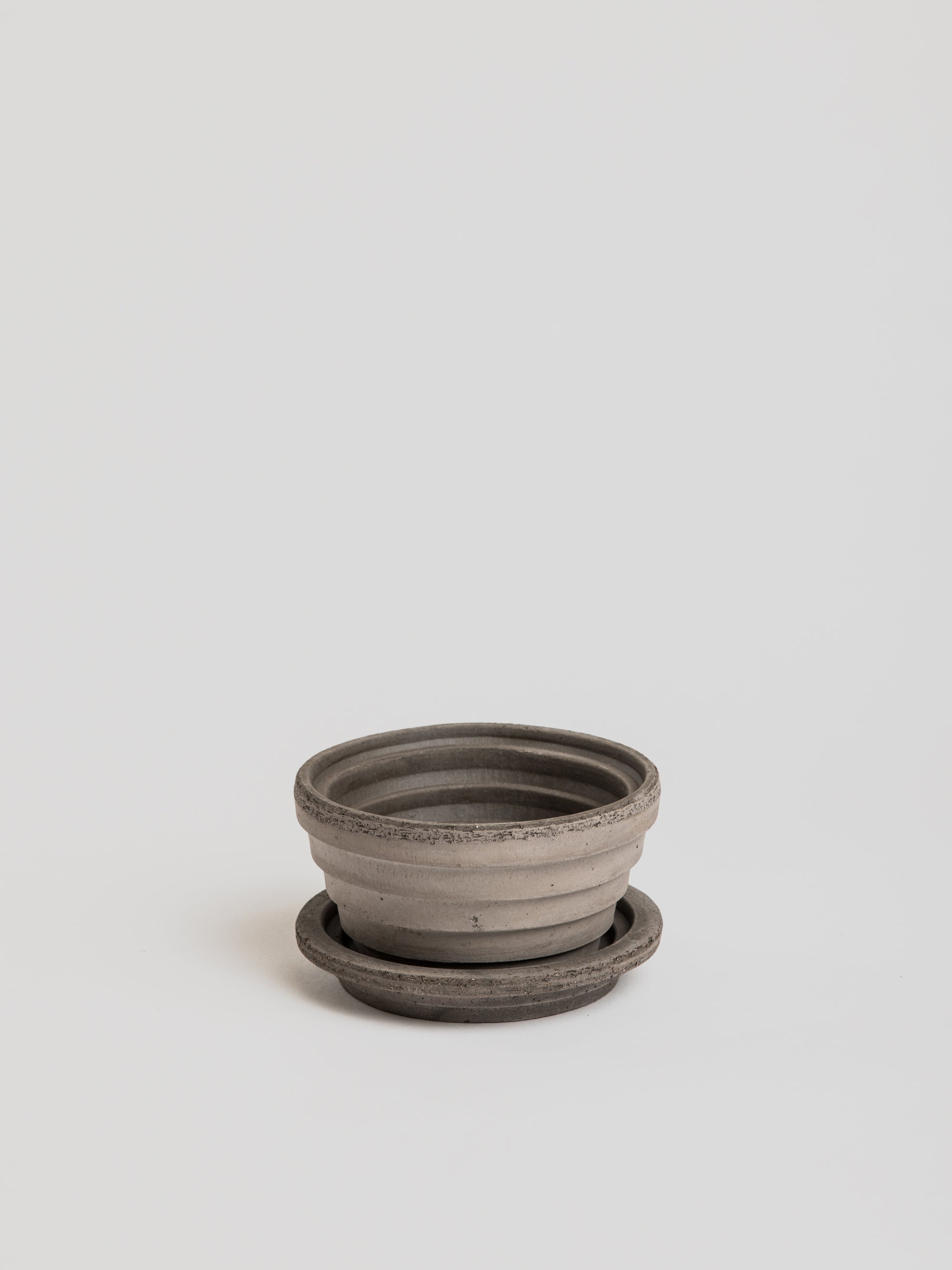 Mars - Grey - Cigale &  Fourmi