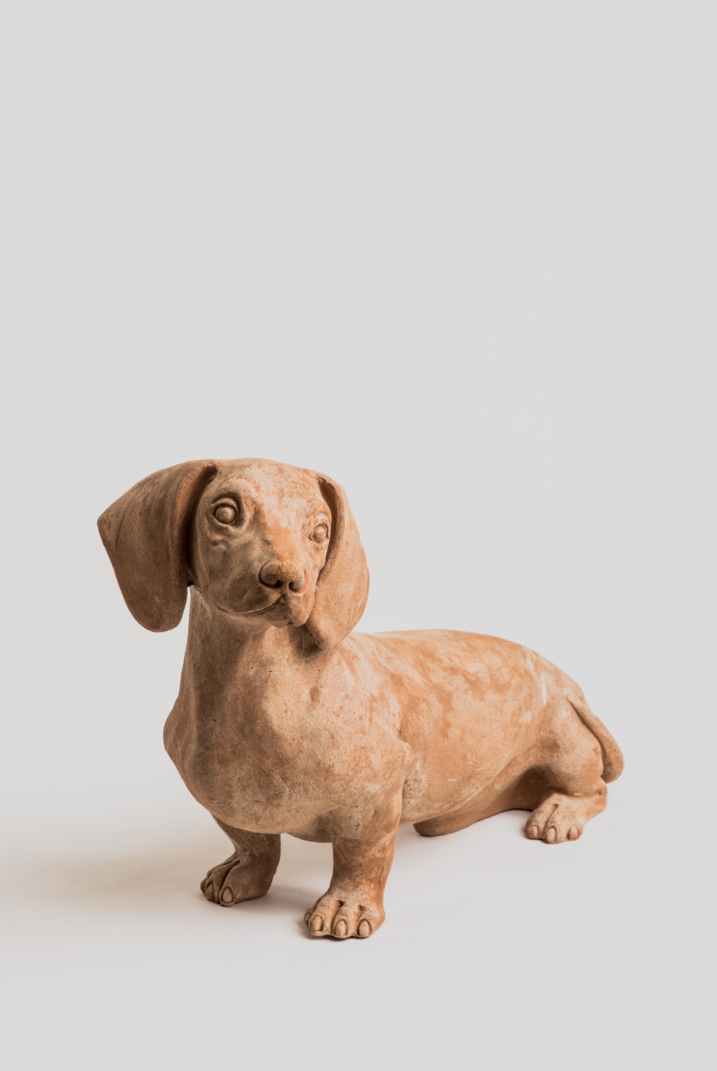 Dachshund - Terracotta - Cigale & Fourmi