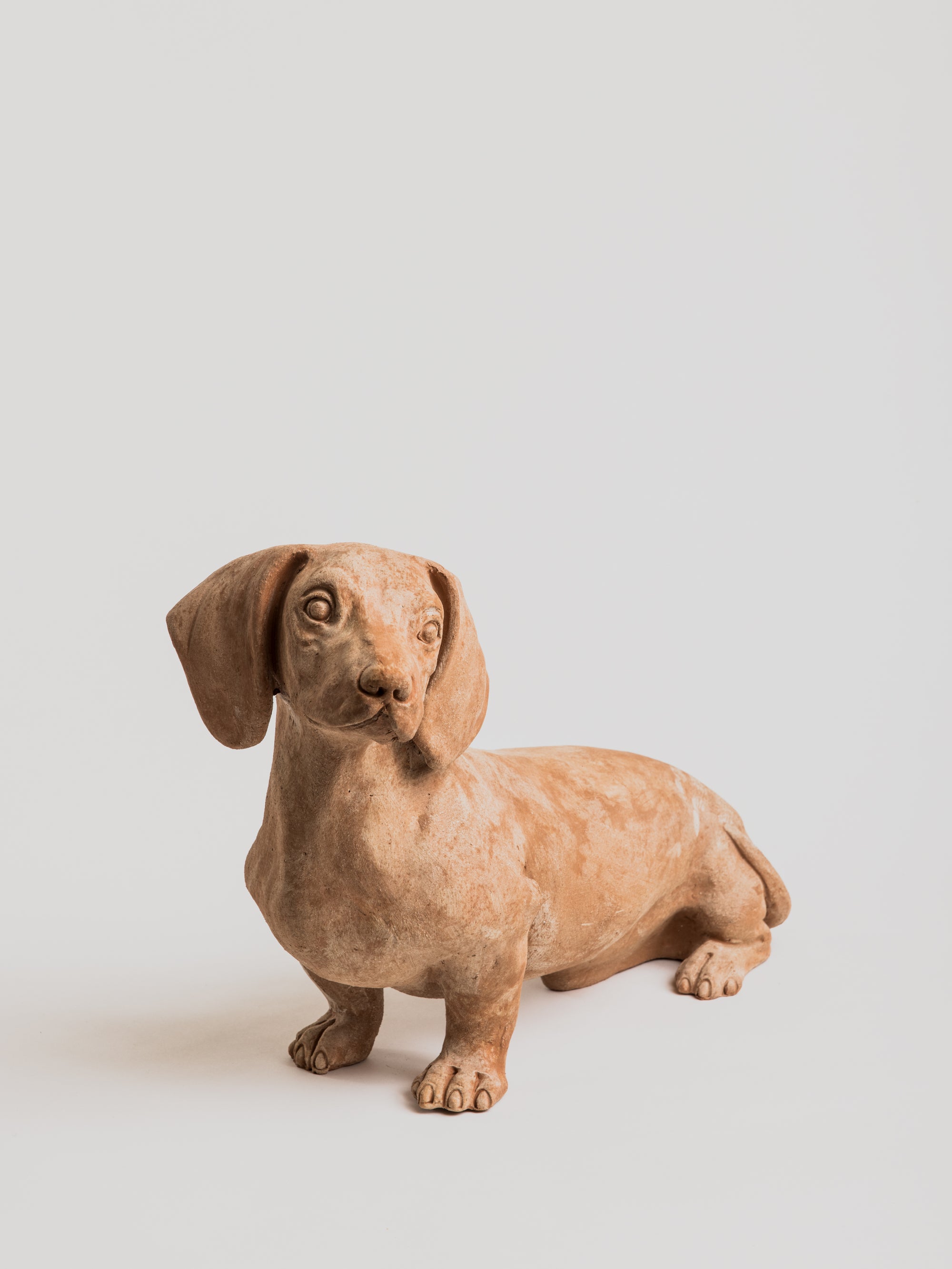 Dachshund - Terracotta - Cigale &  Fourmi