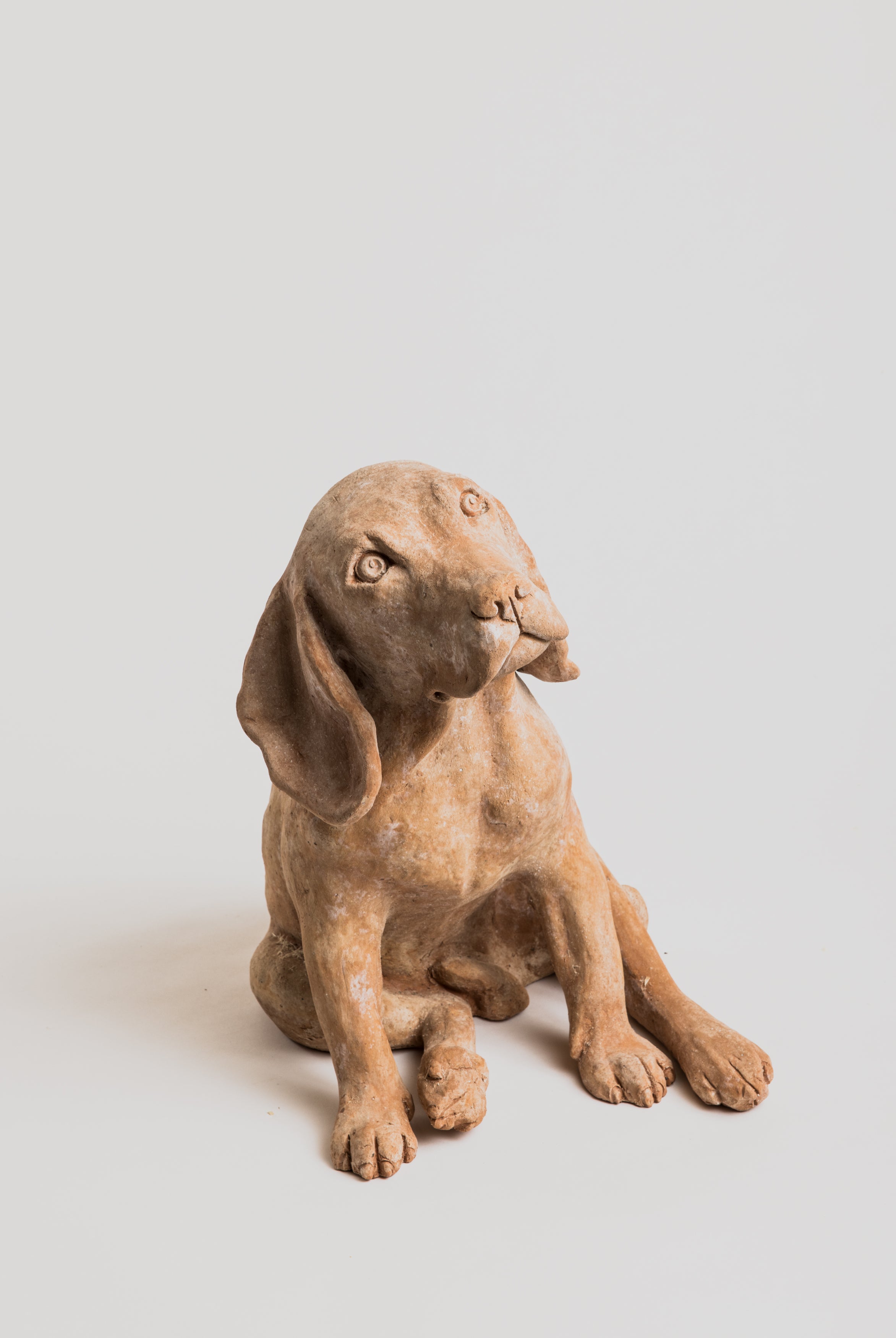Beagle - Terracotta - Cigale & Fourmi