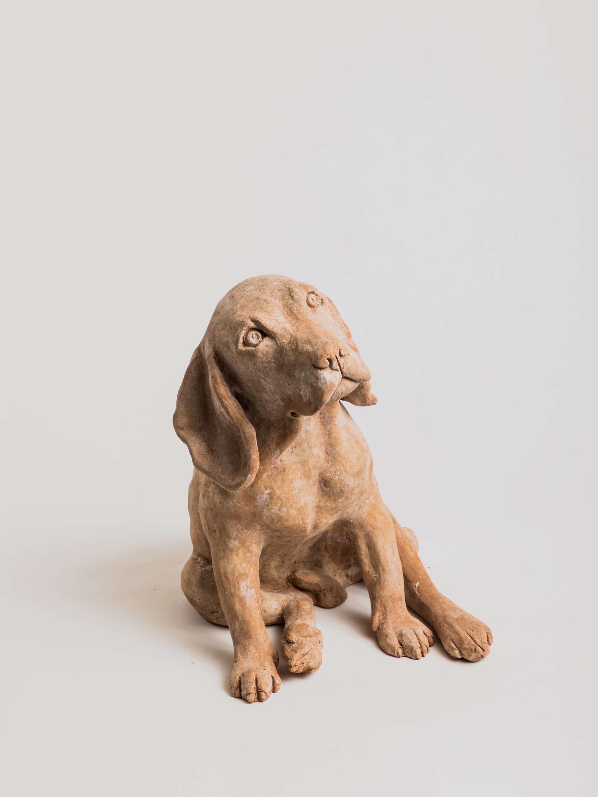 Beagle  - Terracotta - Cigale &  Fourmi