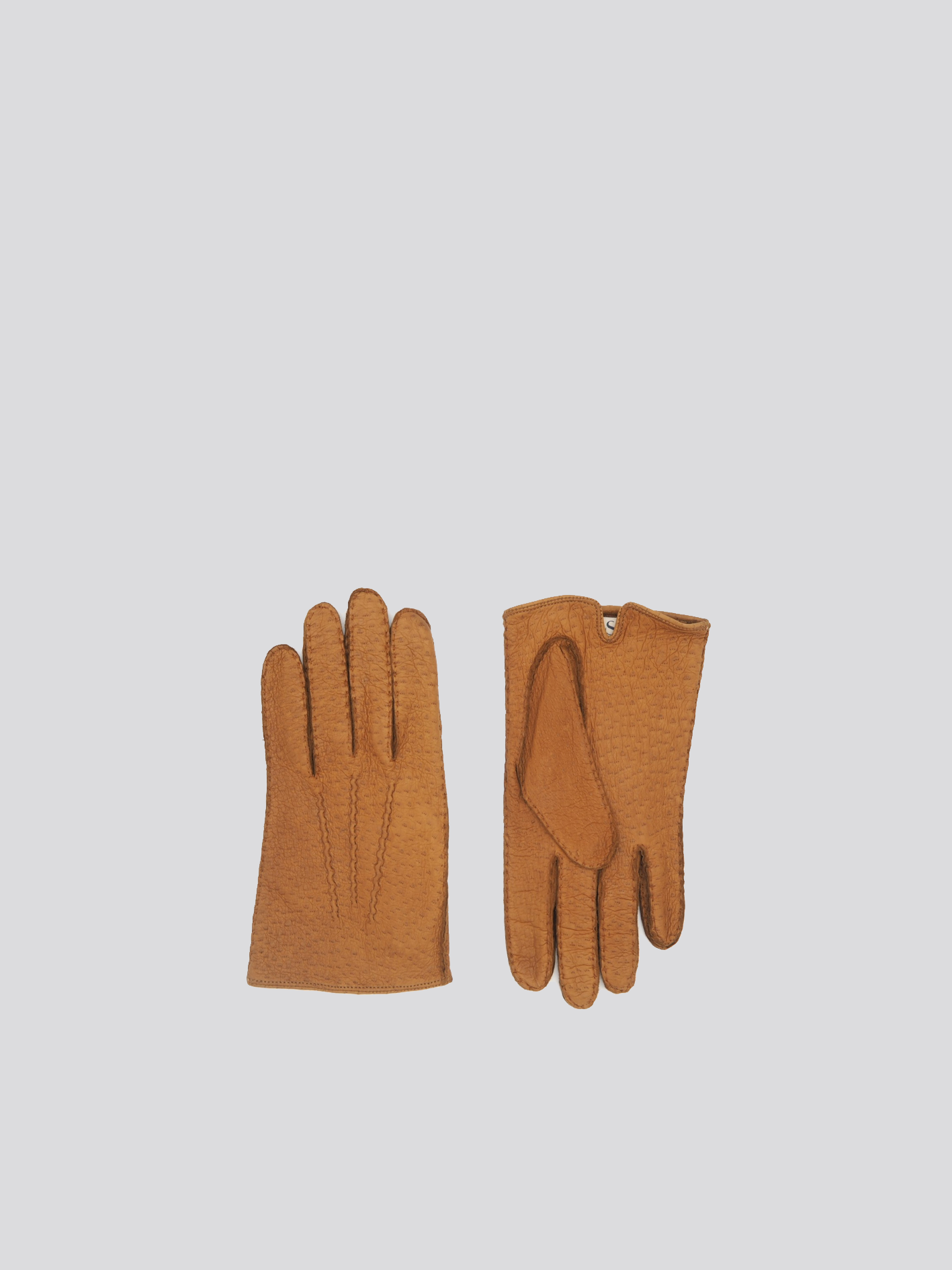 ARVID Peccary -CORK - Cigale & Fourmi