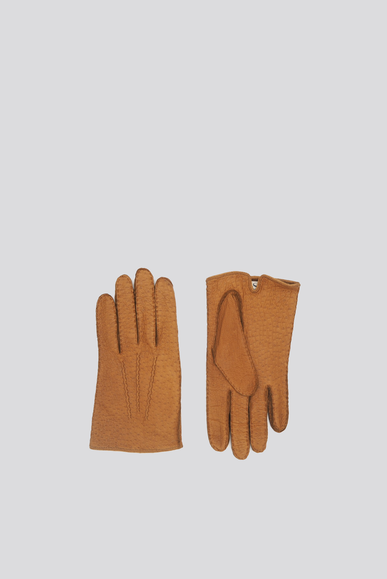 ARVID Peccary -CORK - Cigale & Fourmi