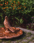 Bagno Uccelli Conchiglia rotondo - Terracotta Birdbath M.I.T.A.L