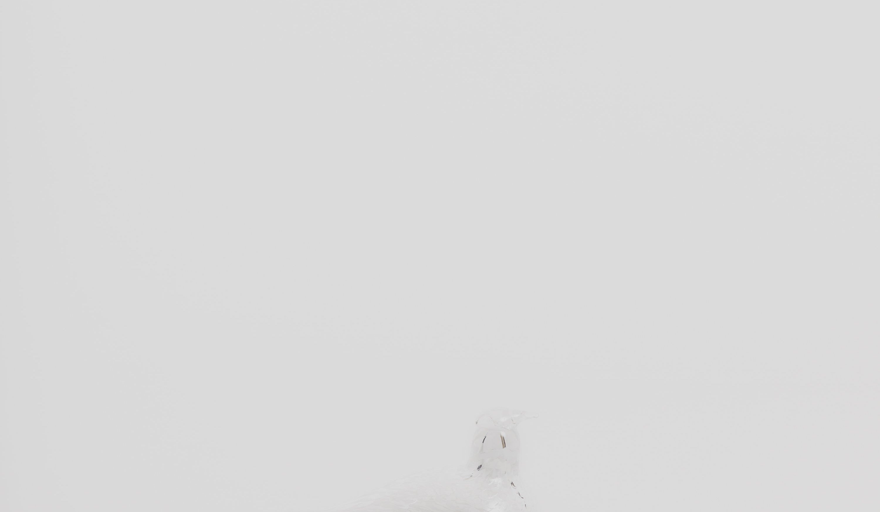 Bird by Toikka - Mediator Dove Design Iittala