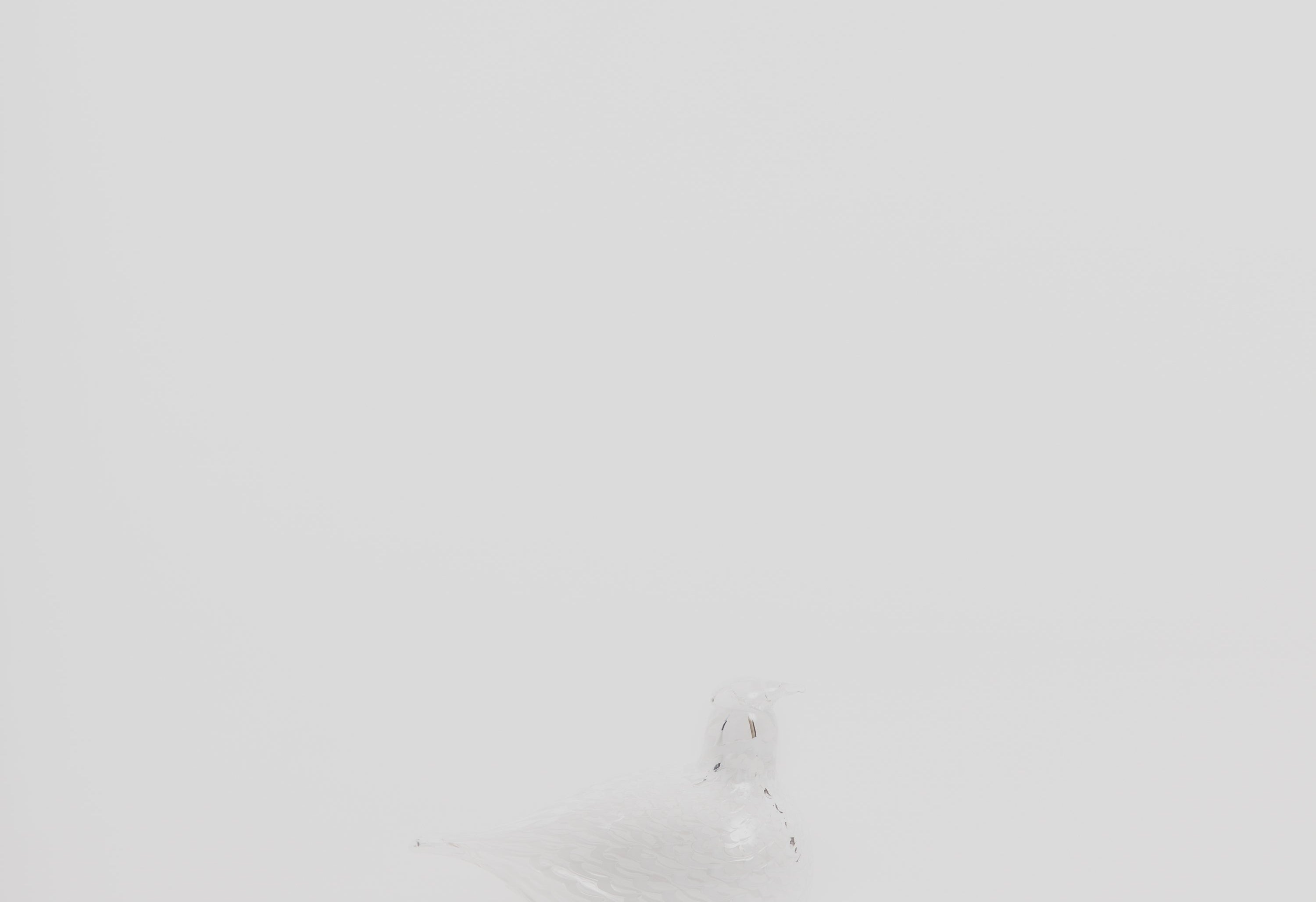 Bird by Toikka - Mediator Dove Design Iittala