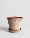 Copenhagen - Terracotta Pottery Bergs Potter
