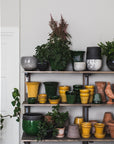 Copenhagen - Yellow Amber Pottery Bergs Potter