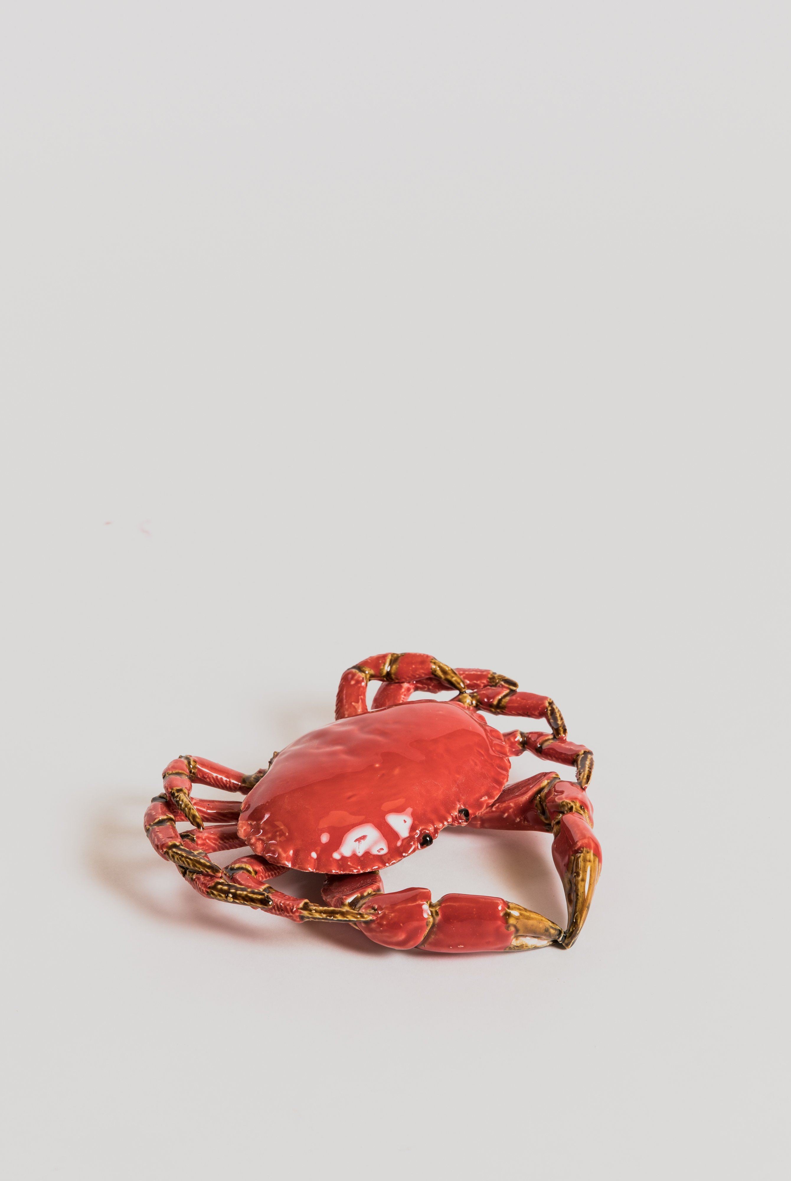 Crab - Ceramic Statue Bull & Stein Red 22 cm